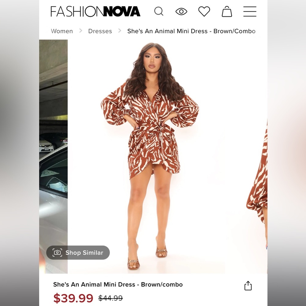 She’s An Animal Brown Mini Dress